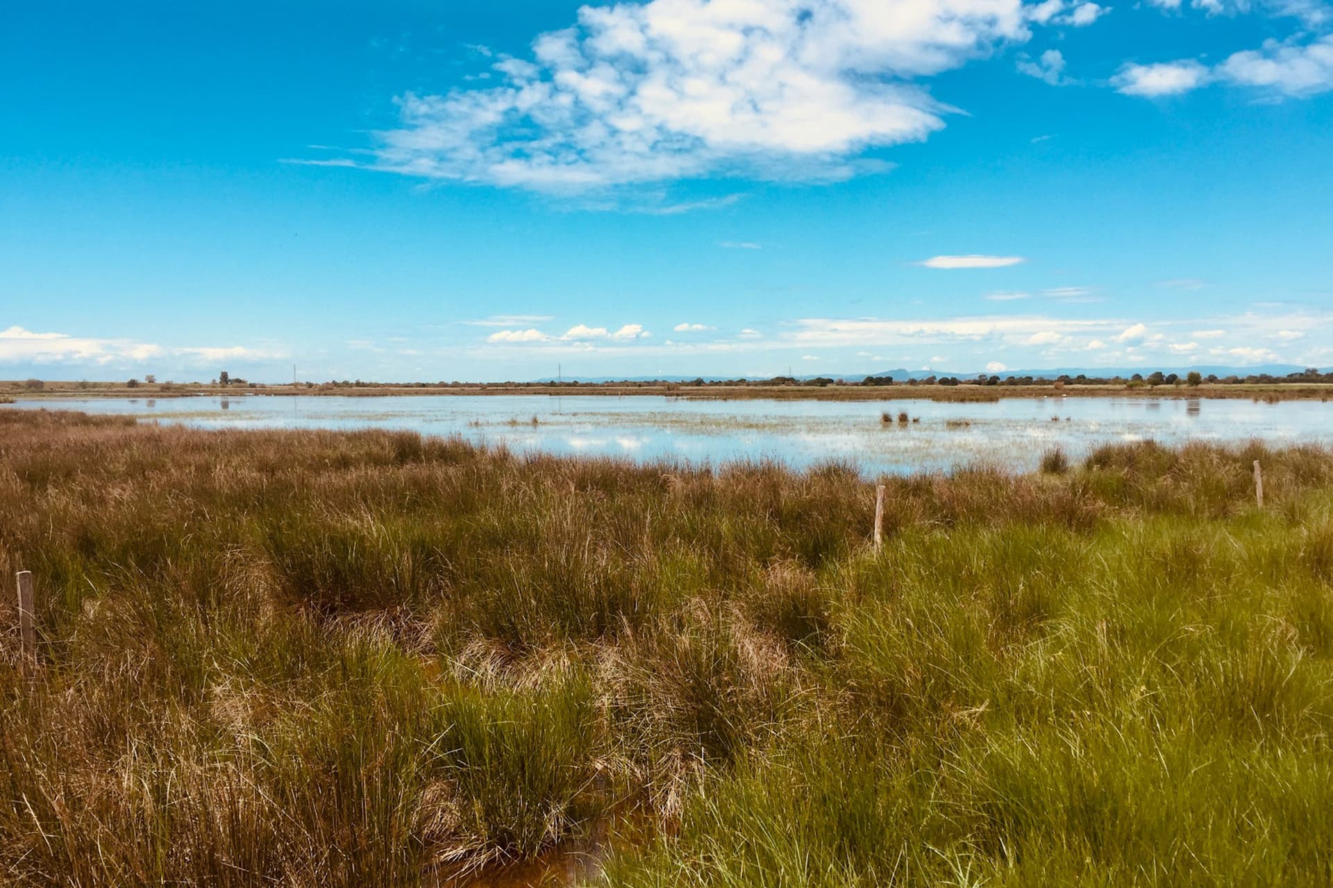 Paysage de Camargue